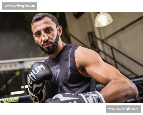 阿拉佐夫vs达占巴巅峰对决揭示站立格斗王者之争全景解析深度版